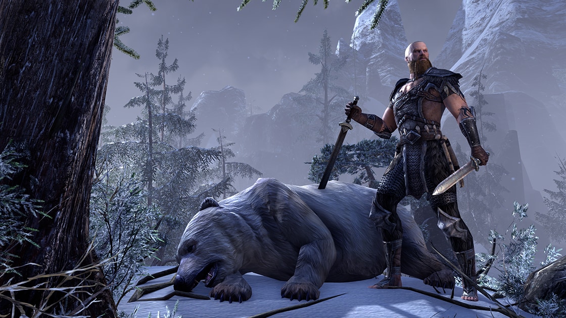 The Elder Scrolls Online: Tamriel Unlimited (PC) - Buy Steam Game CD-Key