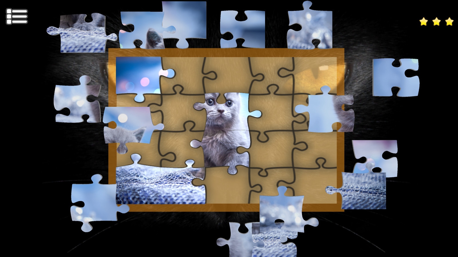 best cat puzzles