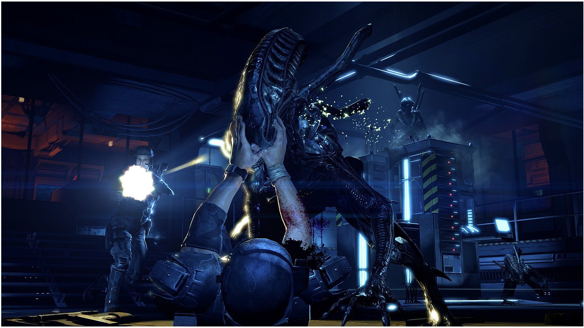 Aliens colonial marines сохранения где лежат