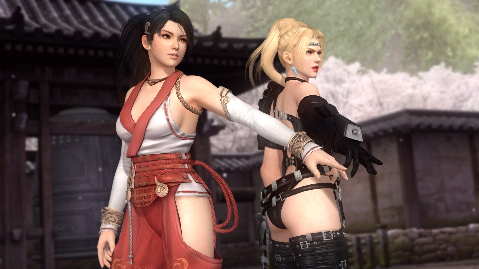 Buy Dead Or Alive 5 Last Round Steam Key Global Cheap G2a Com