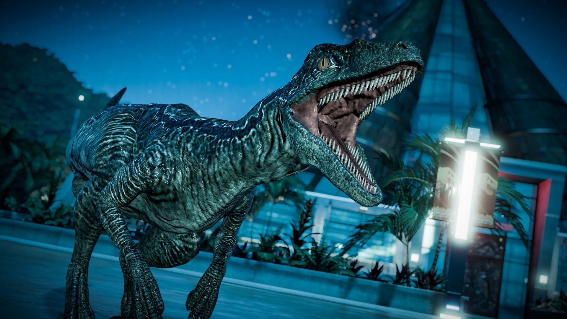 Jurassic. Jurassic World Evolution Велоцираптор Блю. Jurassic World Evolution Raptor. Игра Jurassic World Evolution Раптор. Блю Раптор Jurassic World Evolution.