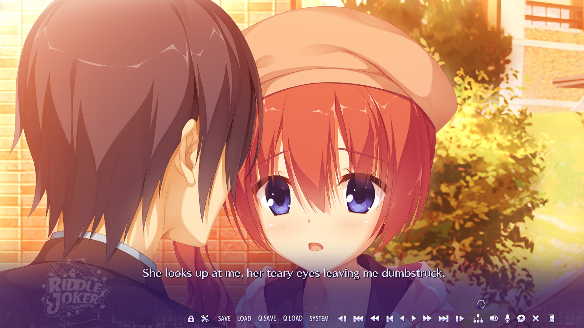 Riddle Joker Pc Steam Gift Global