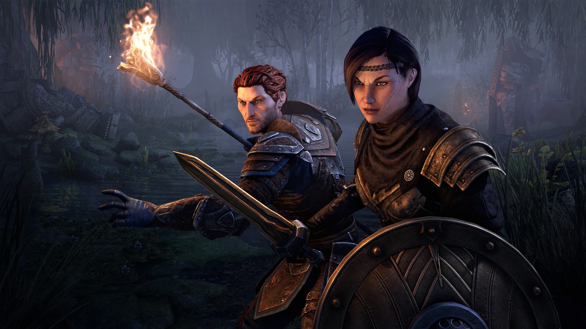 Buy The Elder Scrolls Online Collection Blackwood Collector's