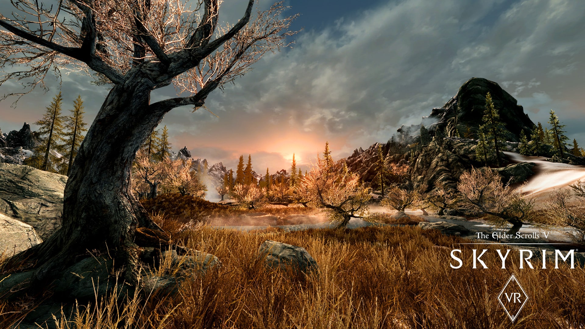 Buy The Elder Scrolls V Skyrim VR Steam Gift GLOBAL Cheap