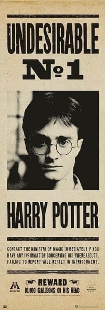 Harry Potter Undesirable - plakat - 1