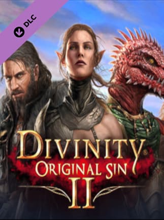 Divinity original sin 2 divine edition что входит