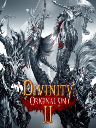Divinity: Original Sin 2 (PC) - Steam Account - GLOBAL - 1