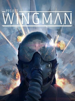 Project Wingman (PC) - Steam Key - EUROPE - 1