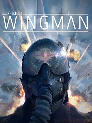 Project Wingman (PC) - Steam Key - GLOBAL - 1