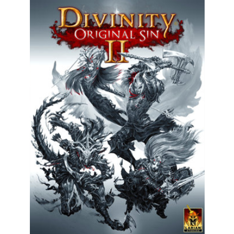 Divinity original sin 2 divine edition что входит