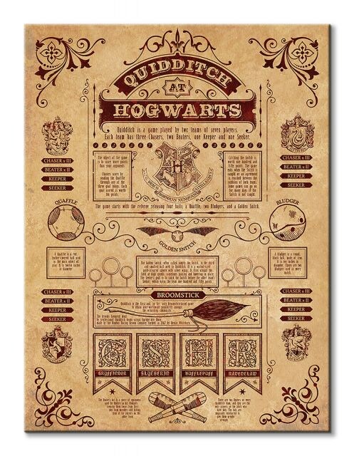 Harry Potter (Quidditch At Hogwarts)  - obraz na płótnie - 2