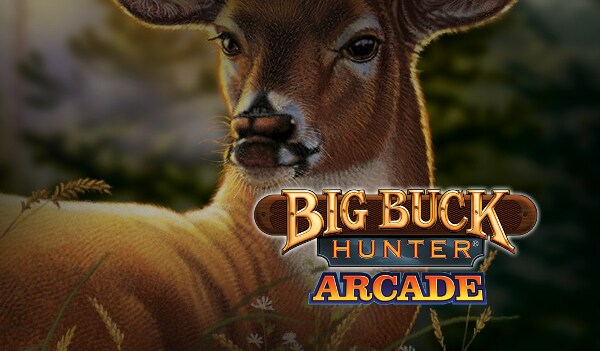 Big Buck Hunter Arcade Xbox Live Key UNITED STATES - 2