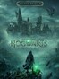 Hogwarts Legacy | Deluxe Edition (PC) - Steam Key - EUROPE / NORTH AMERICA