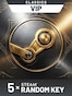 Random VIP 5 Keys - Steam Key - GLOBAL