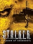 S.T.A.L.K.E.R. Shadow of Chernobyl (PC) - Steam Key - GLOBAL