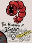 The Binding of Isaac: Rebirth (PC) - Steam Gift - GLOBAL