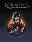 Torment: Tides of Numenera Steam Key GLOBAL