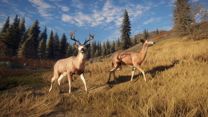 Best Nature Themed Video Games