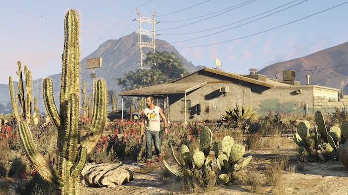 GTA Online: All Peyote Plant Locations (and Animals)