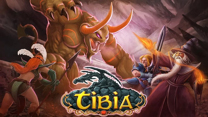 Guide to Tibia Premium Account (PACC) & Tibia Coins