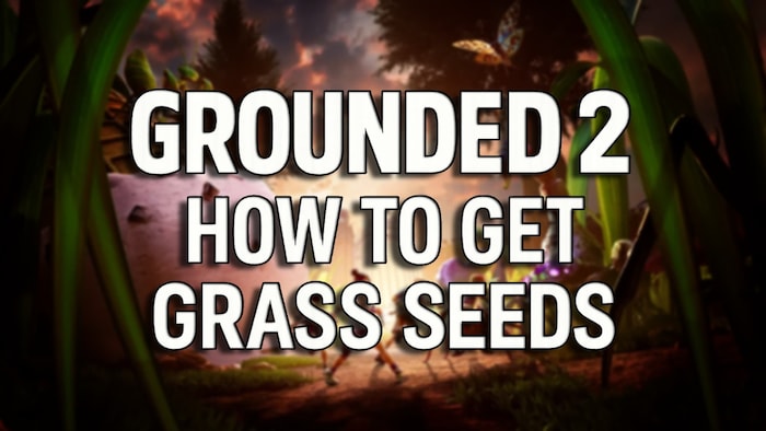 How to Get Grass Seeds in Grounded 2: A Complete Guide