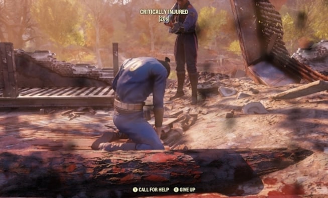 Player begs Bethesda to kill their character in Fallout 76