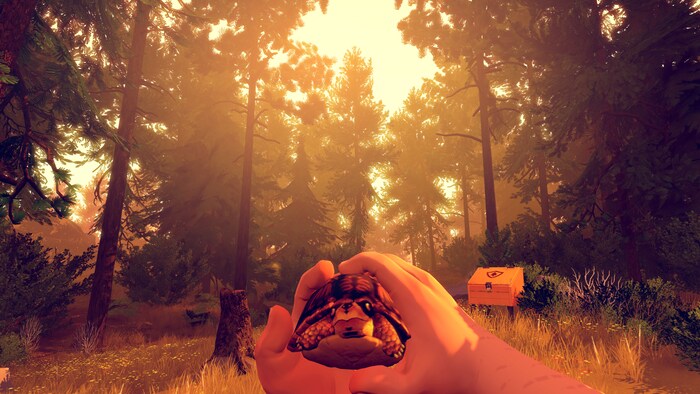 Visit Firewatch lookout tower in VR