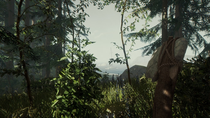 13. The Forest