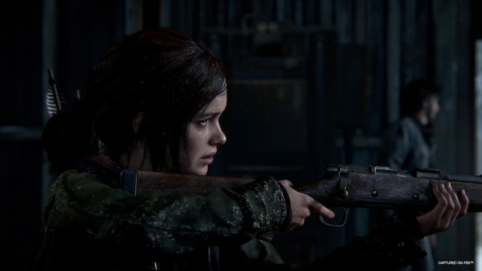 2013 – The Last of Us