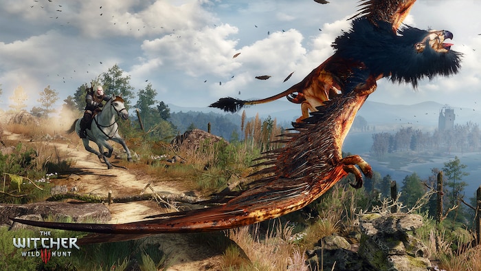 2015: The Witcher III: Wild Hunt