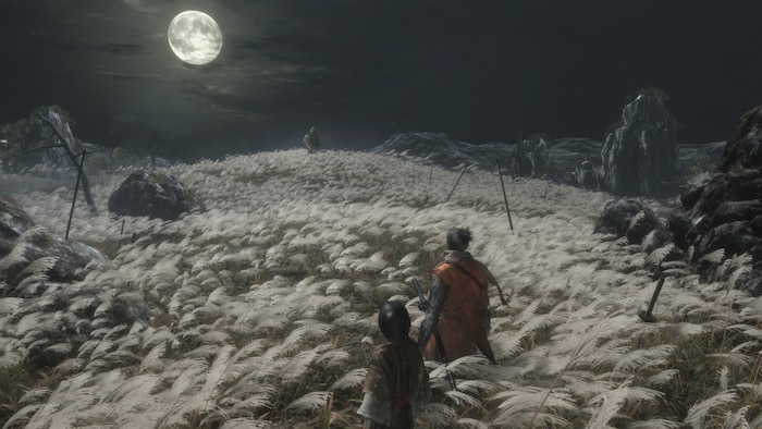 2019: Sekiro: Shadows Die Twice