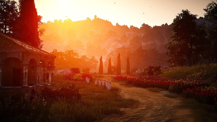 Black Desert