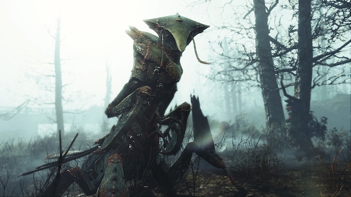 Far Harbor