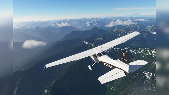 Microsoft Flight Simulator