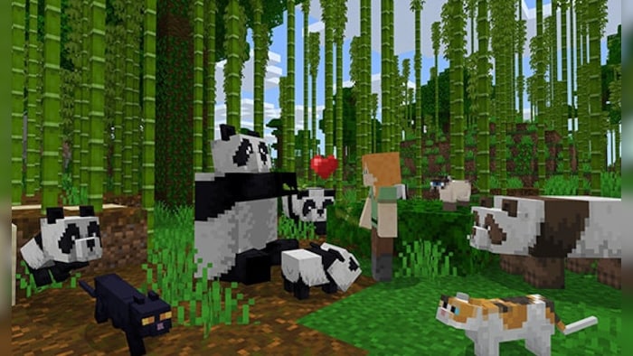 Minecraft