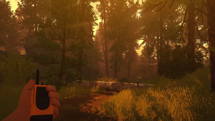 Narration immersive : Firewatch