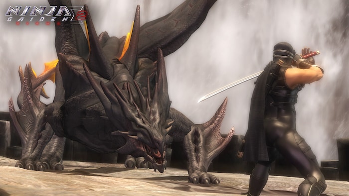 NINJA GAIDEN
