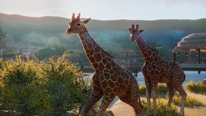 10 Best Zoo Management Games, Ranked