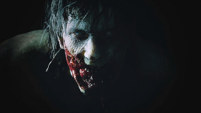 Resident Evil 2 (Remake)