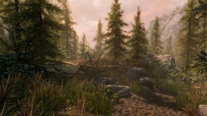 Skyrim