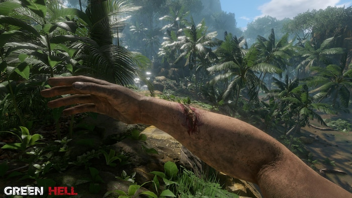 Spirits of Amazonia (Green Hell's DLC)