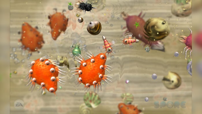 Spore