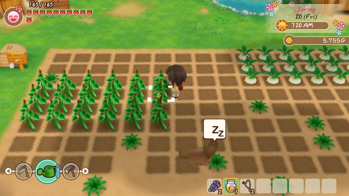 STORY OF SEASONS: Friends of Mineral Town (PC) - Steam Gift - GLOBAL