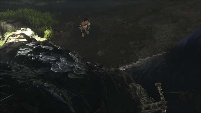 The Last Guardian – Trico