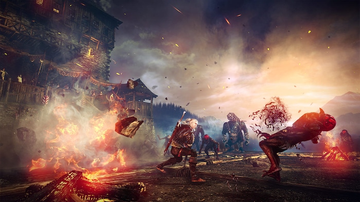 The Witcher 2: Assassins of kings