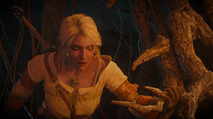 The Witcher 3