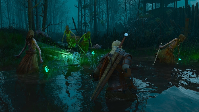 Witcher Series