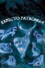 Harry Potter Expecto Patronum - plakat z filmu - 1