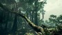 Ancestors: The Humankind Odyssey - Xbox Live Xbox One - Key EUROPE - 4