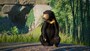 Planet Zoo: Southeast Asia Animal Pack (PC) - Steam Key - GLOBAL - 4